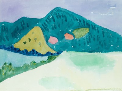 Catskill Vista