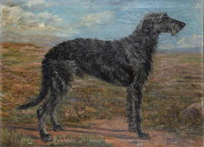 Scottish Deerhound on a Moor