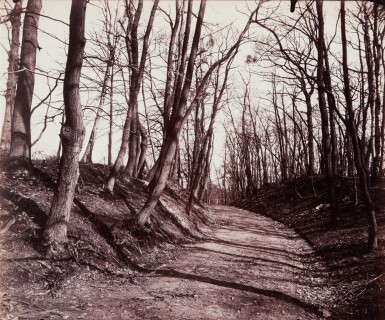 Parc de Saint-Cloud (path)