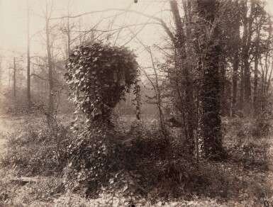 Parc de Sceaux (avril, 7 heures matin) (ivy-covered urn)