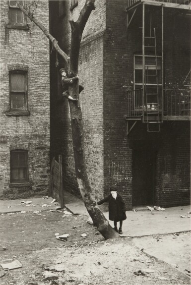 N. Y. (Masked Children in a Tree)