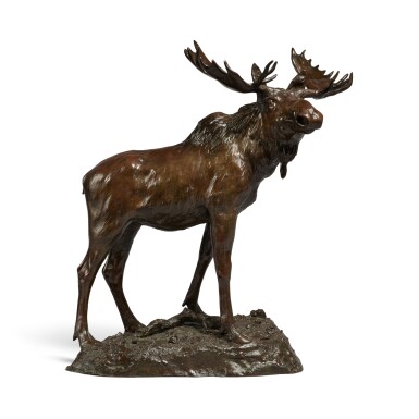 Bull Moose