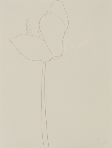 Cyclamen
