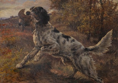 The Retrieval (English Setter with Grouse)