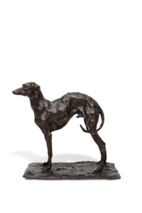 Chien lévrier