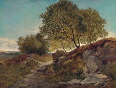 Gathering firewood