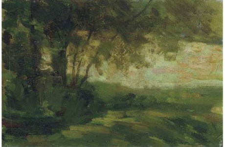 A wooded landscape