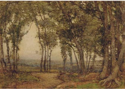 The Grove