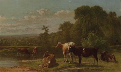 Cows at the River's Edge