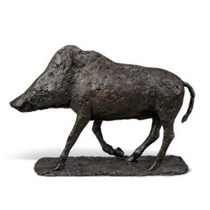 Wild Boar