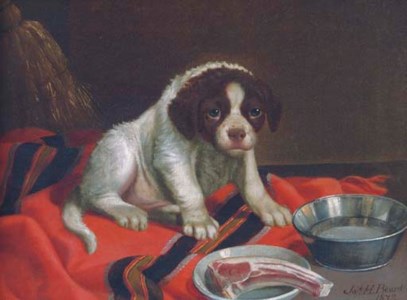 Puppy's Supper