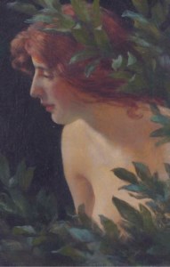 Wood nymph study