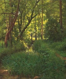 A woodland stream