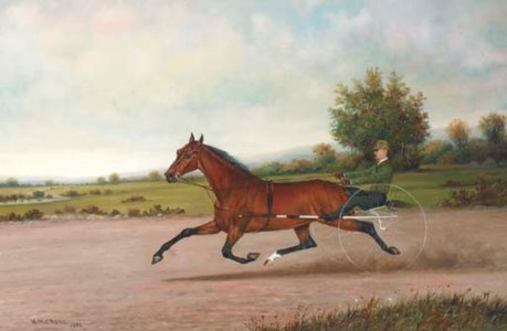 BAY PACER, BELIEVED TO BE "YOLO MAID", ON A RACETRACK