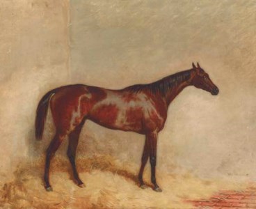 ETOILE DU NORD IN HIS STABLE