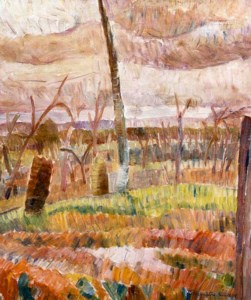 Ringbark Country