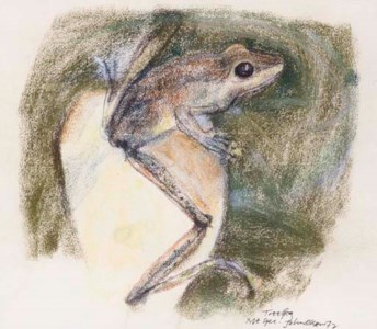 Treefrog