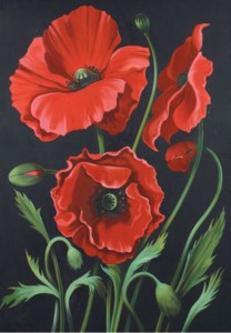 Red Poppies
