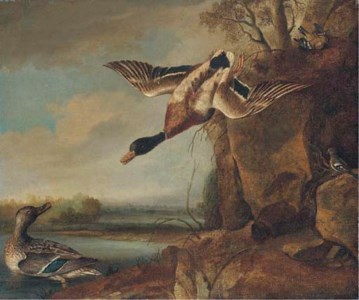 Mallard and chaffinches in a river landscape