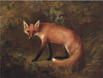 A fox in shrubbery