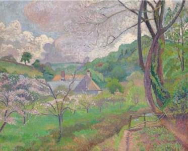 Apple blossom, Riversbridge farm, Blackpool