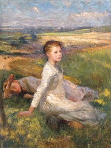 Summer in the Fields