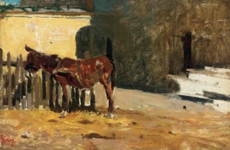 Un burro en un patio