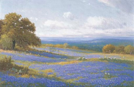 Texas Bluebonnets