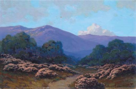 Flowering Fields in Foothill Landscape