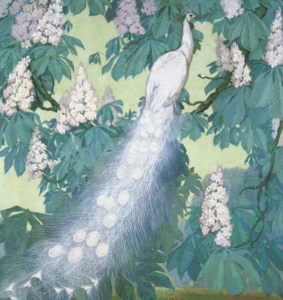 White Peacock - Spring