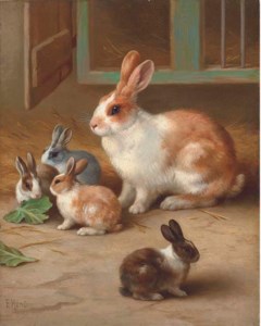 Bunnies