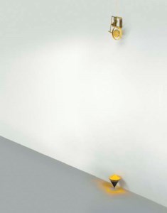 Titanus Yellow