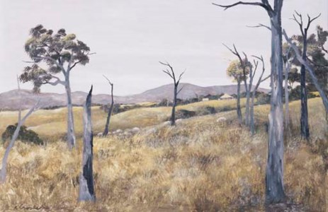 Homestead, New South Wales