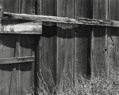 Fence, South San Francisco
