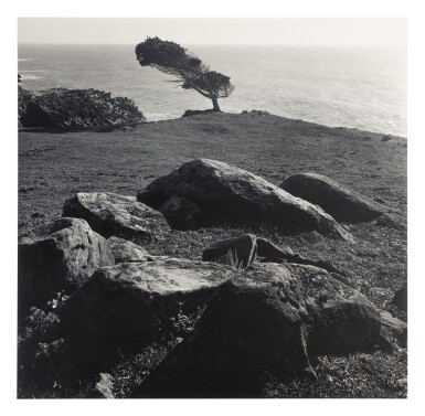 At Timber Cove, North Coast, California
