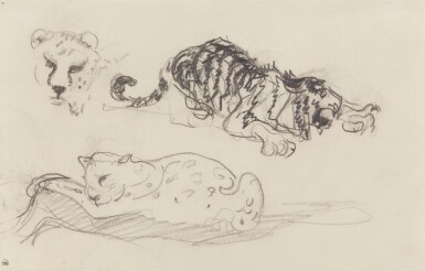 Zwei Leoparden und ein Leopardenkopf