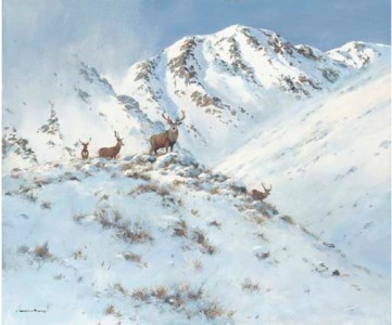 Red Deer, Glen Finnan