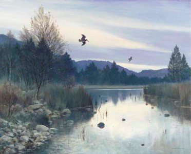 Loch an Eilein - Woodcock