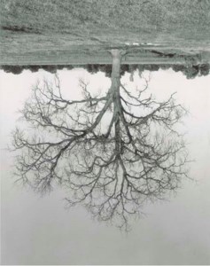 Untitled, 1993