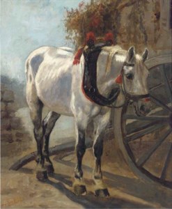 A grey carthorse