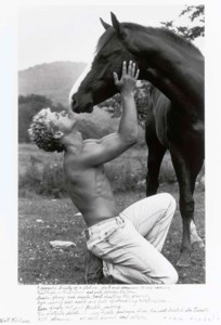 A Gigantic Beauty of a Stallion , from the series 'Salute to Walt Whitman', 1970