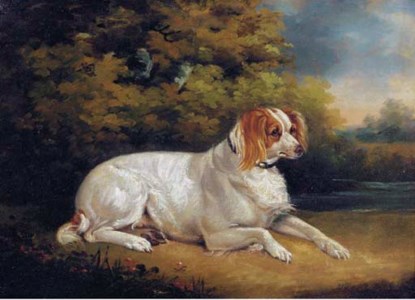 Reclining Brittany Spaniel