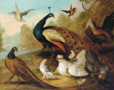 A PEACOCK, PHEASANT, HEN, A DOVE AND OTHER FOWL IN A RIVER LANDSCAPE