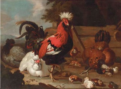A rooster, hens and chicks in a farmyard