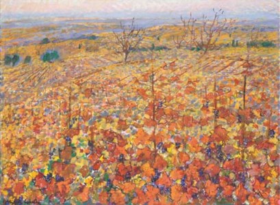 Tuscany Grapes in Autumn