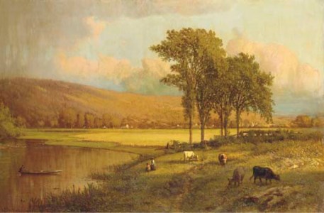 A Sunlit Meadow