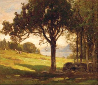 The cedar meadow