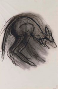 Kangaroo