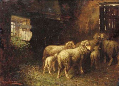 Sheep in a barn