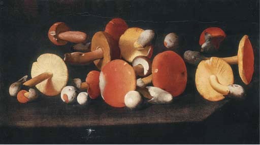 Boletus, russulas and other mushrooms on a ledge